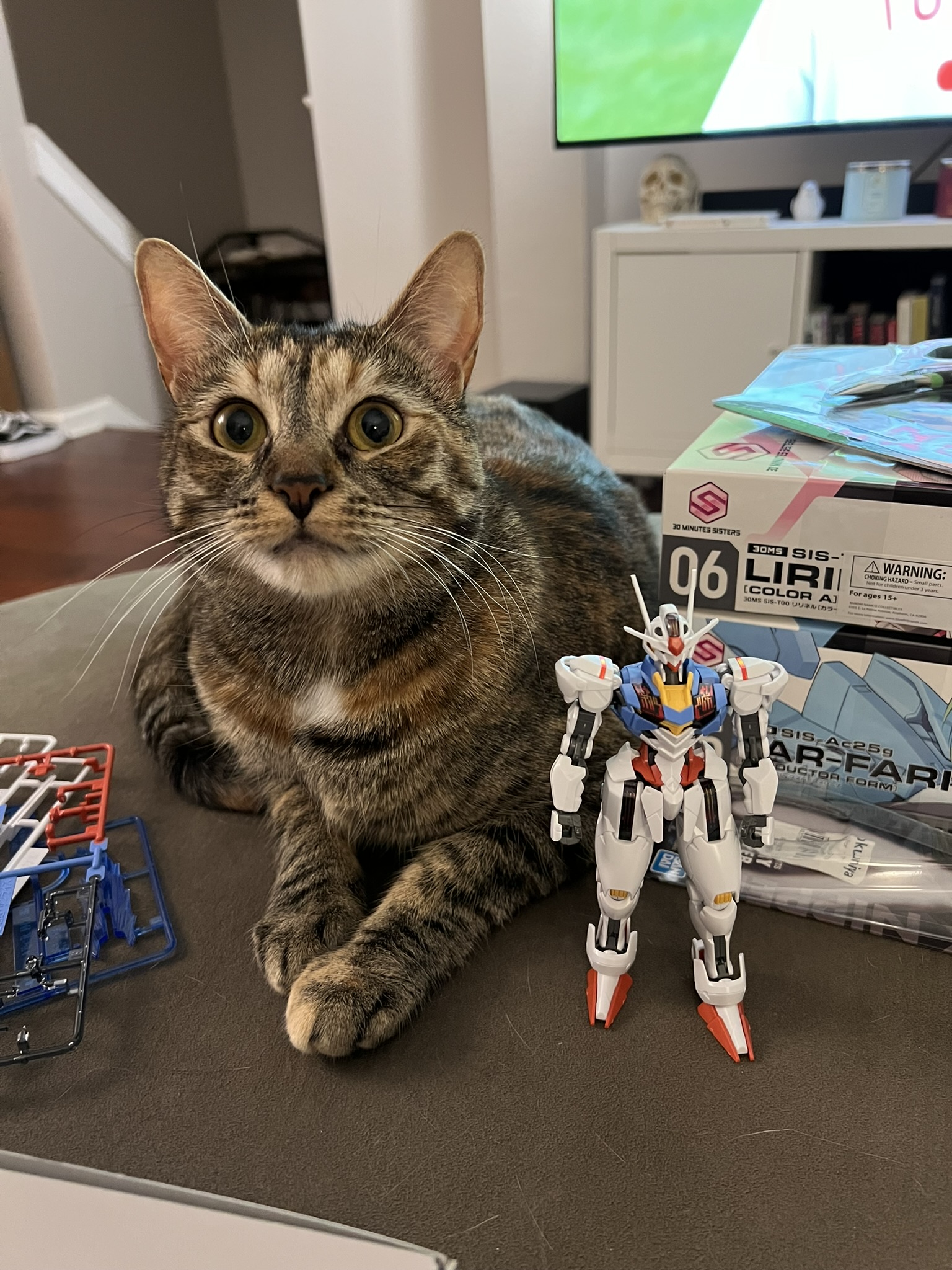 Gunpla model build